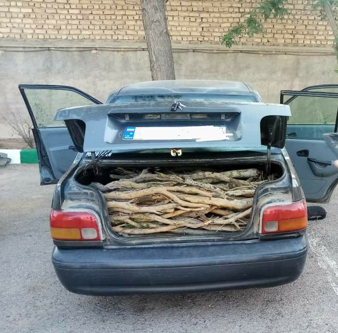 توقیف پراید حامل ۸۰۰ کیلوگرم چوب تاغ در نیشابور