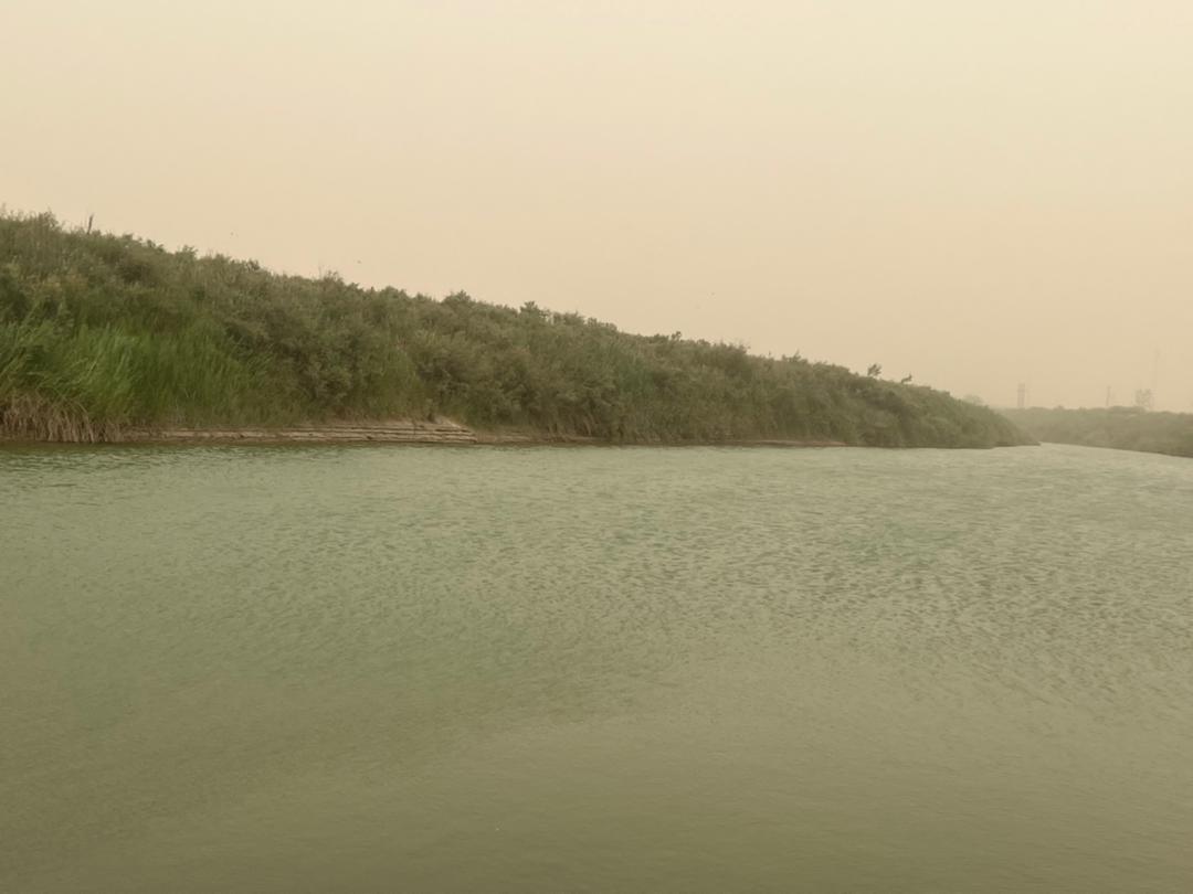 بررسی تامین حق آبه تالاب حله