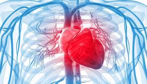 کاهش نارسایی قلبی با مصرف کافی آب کاهش نارسایی قلبی با مصرف کافی آب