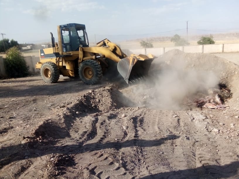 تلف شدن ۹۸ راس دام سبک در بخش حتی لالی