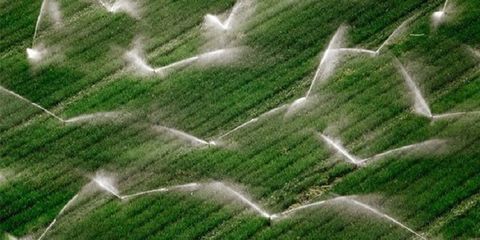 اجرای طرح آبیاری نوین در چهارمحال و بختیاری
