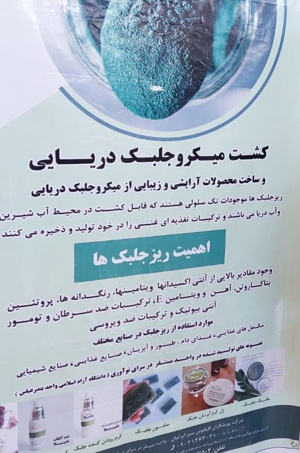 ظرفیت بالای جنوب کشور برای کشت ریزجلبک&zwnj;ها