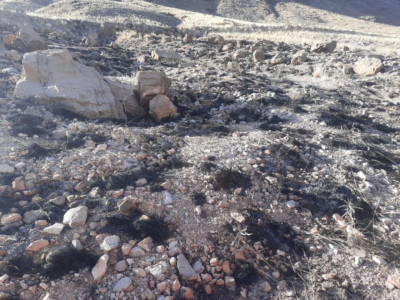 وقوع دو حادثه آتش سوزی مراتع در بنادک سادات وقوع دو حادثه آتش سوزی مراتع در بنادک سادات