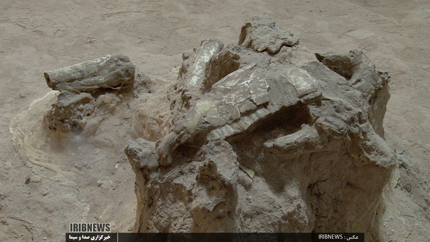 شناسایی ۳۶ سایت برای ایجاد ژئو پارک در مراغه