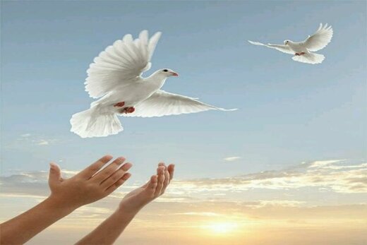 بخشش سه محکوم به قصاص نفس