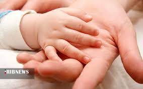 ۲۰ درصد زوجین در استان همدان نابارور هستند