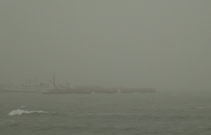 کاهش بسیار زیاد میزان دید به ۱۰۰ متر در استان بوشهر