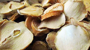 معجزه ای به نام موسیر ایرانی