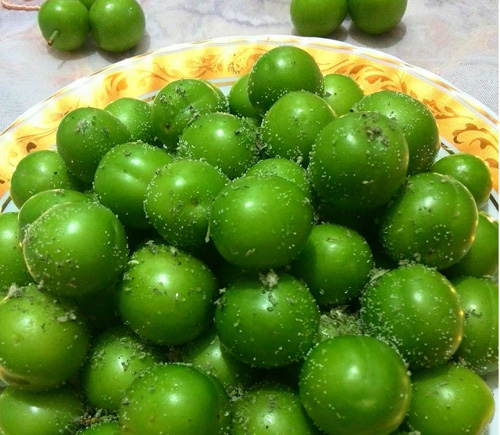 مصرف زیاد گوجه سبز ممنوع