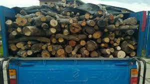 کشف یک تن و ۸۰۰ کیلوگرم چوب بلوط قاچاق در لردگان کشف یک تن و ۸۰۰ کیلوگرم چوب بلوط قاچاق در لردگان