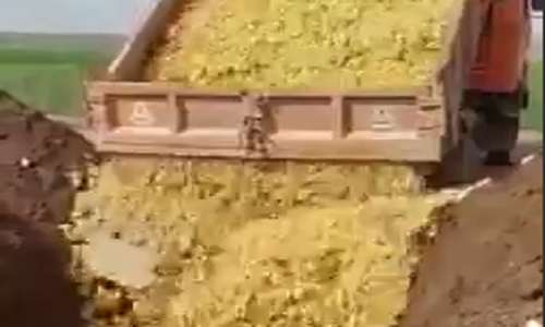 بهادری جهرمی: بهانهای برای کار خلاف شرع جوجه کُشی نیست بهادری جهرمی: بهانهای برای کار خلاف شرع جوجه کُشی نیست