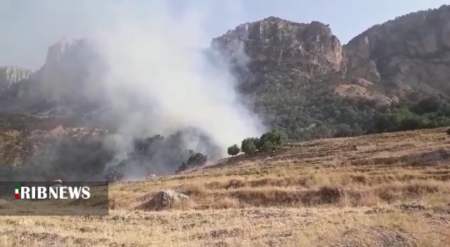 مهار آتش سوزی ده باغ روستای دهنو ممسنی