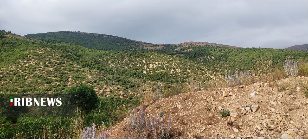 باران در راه گیلان / آبی بر آتش تابستان