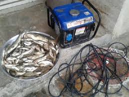 بازداشت صیادان غیر مجاز ماهی با استفاده از  الکترو شوکر