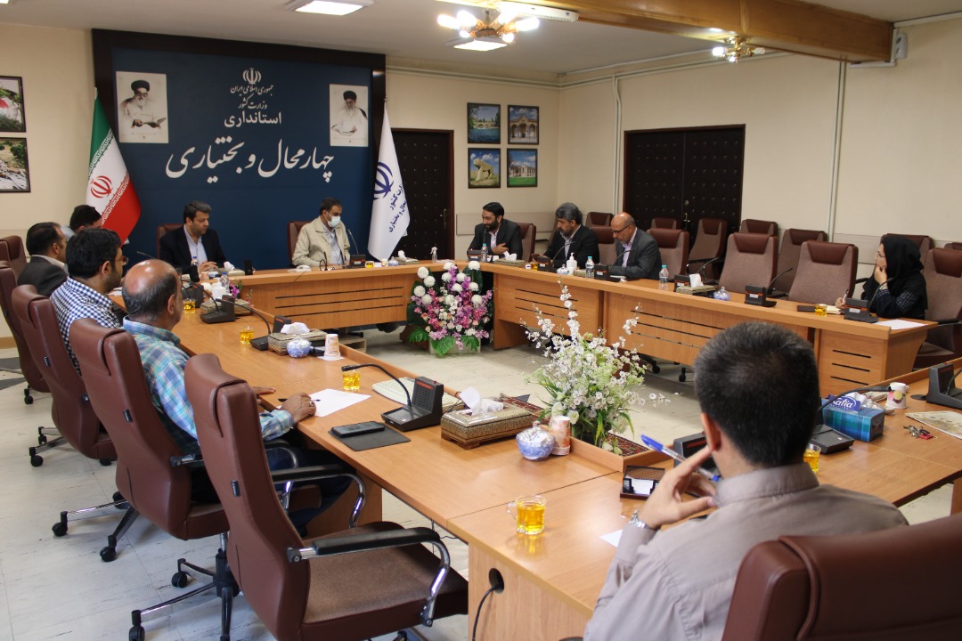 حمایت سازمان سینمایی از تولید فیلم های ارزان قیمت