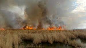 آتش سوزی در بخش عراقی تالاب هورالعظیم؛ عامل آلودگی هوا