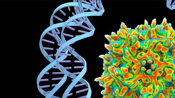 ژن درمانی Gen-1 ، نویدبخش درمان سرطان تخمدان پیشرفته