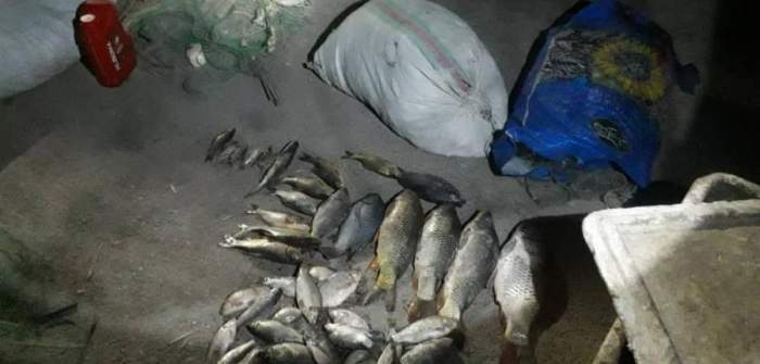 بازداشت عاملان سم ریزی در زهکش‌های شهرستان کرخه