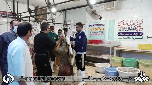 اجرای طرح نذر قربانی برای سلامتی امام زمان (عج) اجرای طرح نذر قربانی برای سلامتی امام زمان (عج)