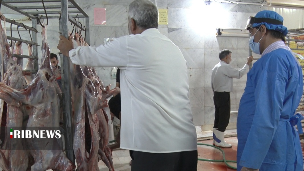 استقرار ۳۴ گروه نظارت بر ذبح دام در عید قربان