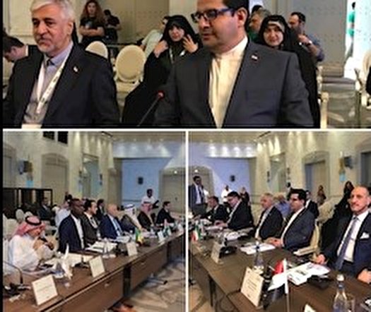 اعلام آمادگی ایران برای مشارکت با کشورهای اسلامی در اجرای طرح های ورزشی