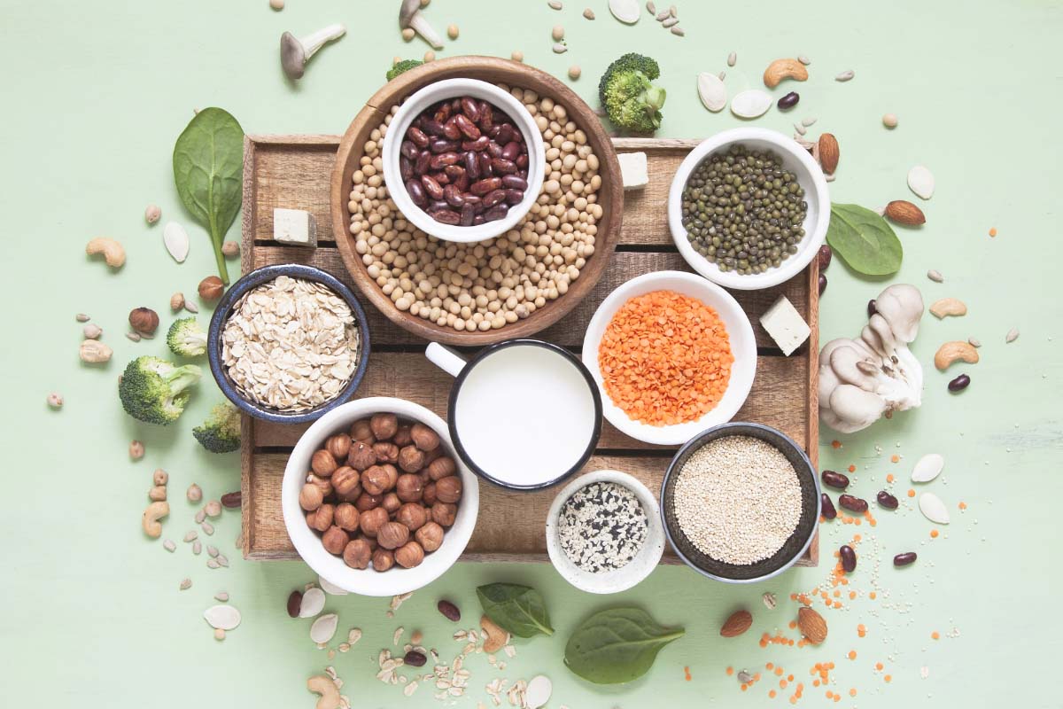 آیا پروتئین گیاهی چاق کننده است؟ آیا پروتئین گیاهی چاق کننده است؟