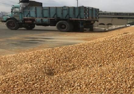 ناکامی قاچاقچیان در انتقال نهاده دامی قاچاق در آستارا