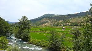 غرق شدن جوان جویباری در رودخانه تجن غرق شدن جوان جویباری در رودخانه تجن