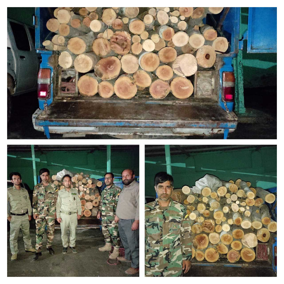 کشف و ضبط بیش از ۲ تن چوب قاچاق در زنجان کشف و ضبط بیش از ۲ تن چوب قاچاق در زنجان