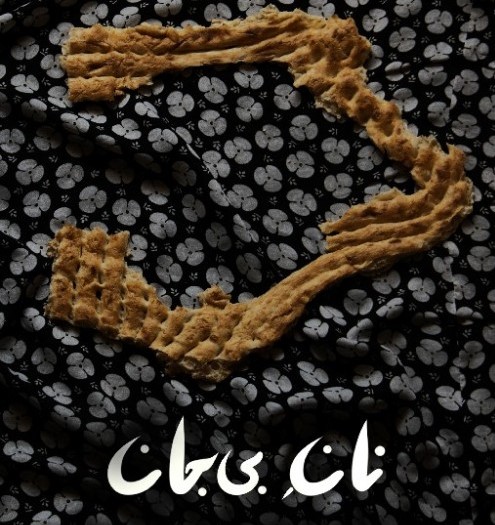 راهیابی تولیدات شبکه مستند به جشنواره بین المللی فیلم شهر