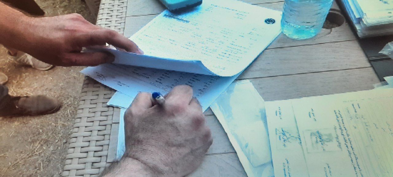 تراشه گذاری اسب های کاسپین در رضوانشهر