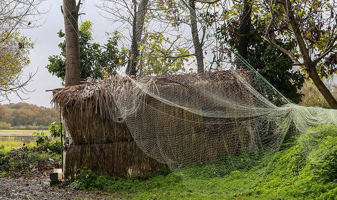 تخریب کومه‌های شکار و صید غیرمجاز در پارک ملی بوجاق کیاشهر