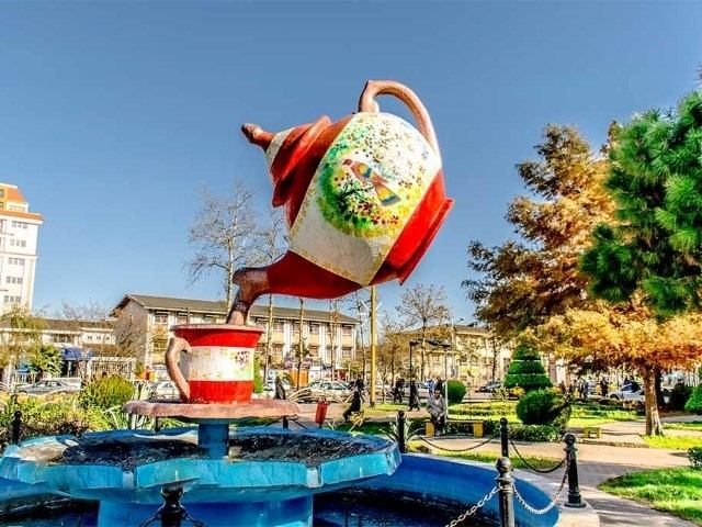 لاهیجان پایتخت چای ایران شد