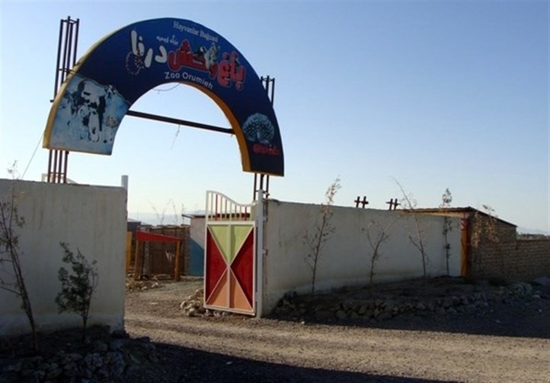 شرایط باغ وحش ارومیه ، مورد تایید حفاظت محیط زیست نیست شرایط باغ وحش ارومیه ، مورد تایید حفاظت محیط زیست نیست