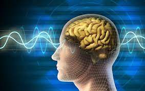 نرم‌افراز جدید با سیگنال مغزی تصاویر را ویرایش می‌کند