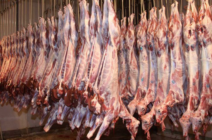 عرضه گوشت گوسفندی ۱۱۶ هزار تومانی در میادین