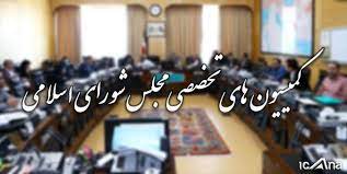 پاسخگویی وزرا در کمیسیون های ها تخصصی مجلس
