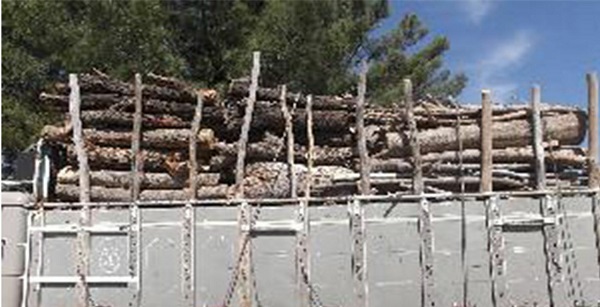 کشف محموله ۱۰ تنی چوب قاچاق در آوج کشف محموله ۱۰ تنی چوب قاچاق در آوج