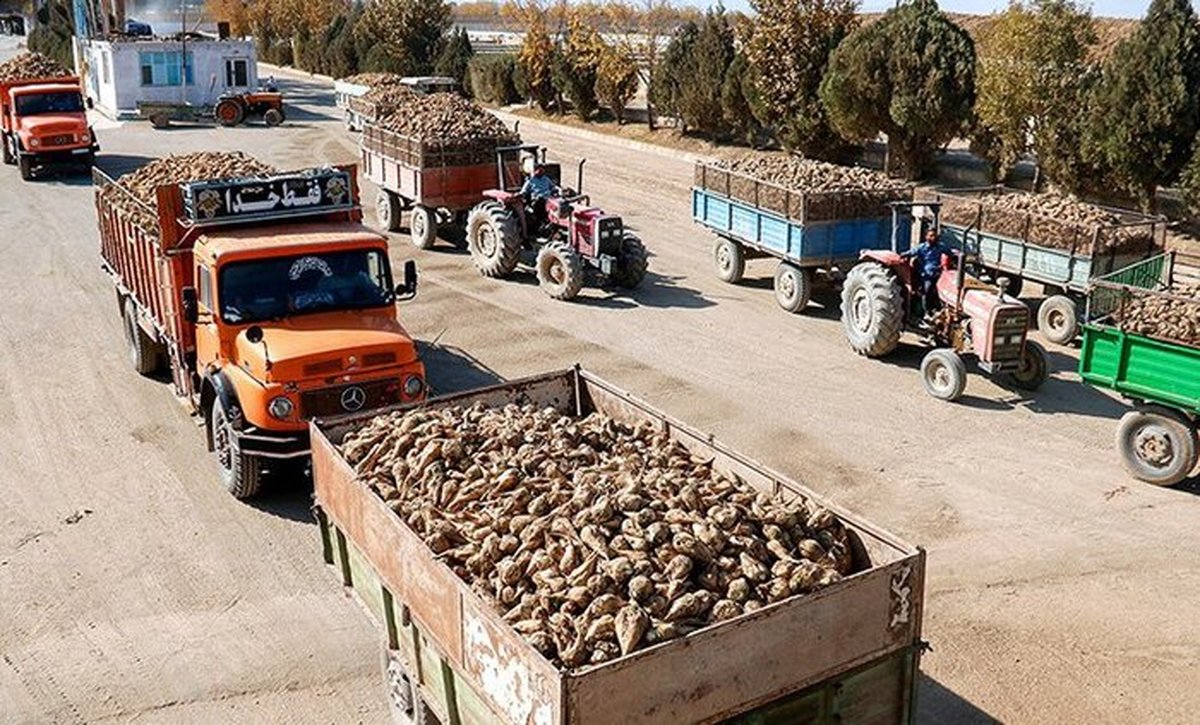 مطالبات چغندرکاران گلستانی از کارخانه قند جوین پرداخت شد مطالبات چغندرکاران گلستانی از کارخانه قند جوین پرداخت شد