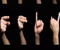 تربیت مترجم رسمی زبان اشاره فارسی در قوه قضاییه