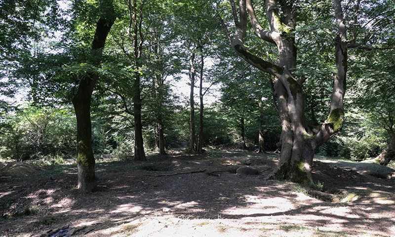 راه اندازی سایت موزه شهرتاریخی گسکر راه اندازی سایت موزه شهرتاریخی گسکر