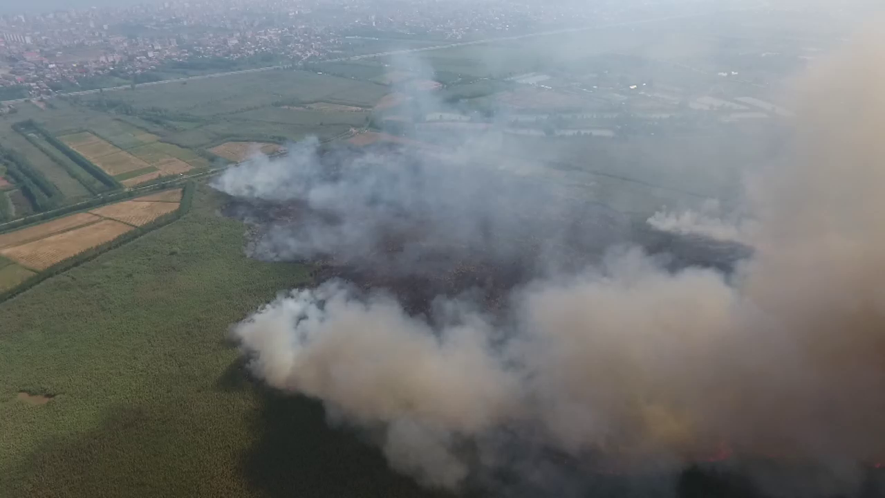 دستگیری عامل آتش سوزی عمدی نیزار‌های تالاب انزلی