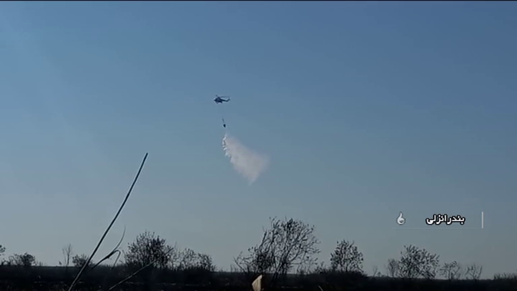 اطفای آتش سوزی تالاب بین المللی انزلی