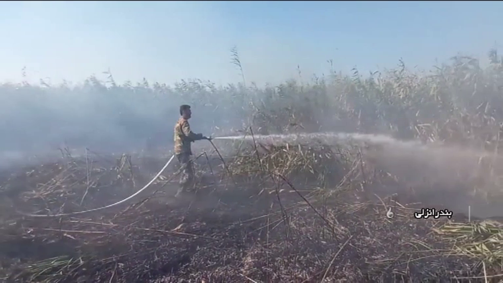 اطفای آتش سوزی تالاب بین المللی انزلی