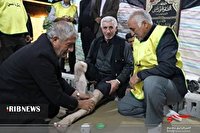 موکب حضرت عباس (ع) در سه راهی ایواوغلی خوی