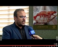 آمادگی حضور۱۸۰ شرکت دانش پایه در شیلات