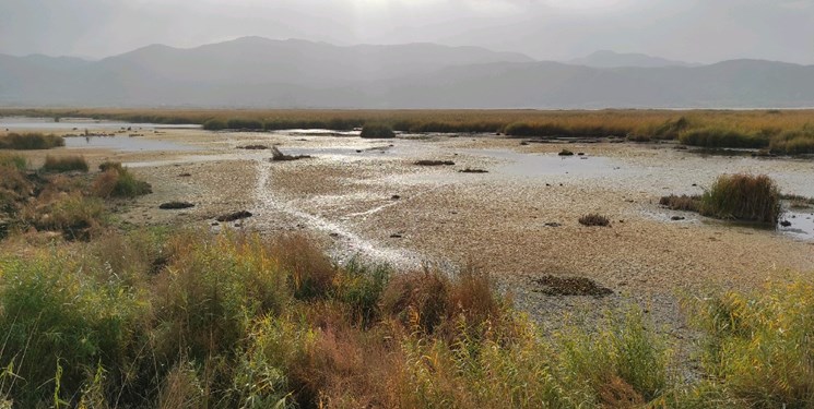 وضعیت شکننده در تالاب های اقماری چی چست وضعیت شکننده در تالاب های اقماری چی چست