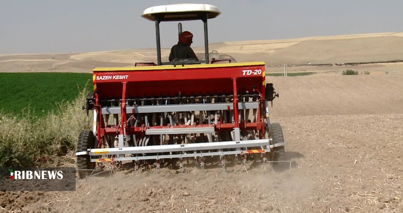 آغاز کشت پاییزه با کاشت دانه روغنی کلزا در کردستان