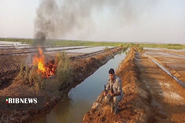 تـخــریب محمــیه زنـده گــیری پــرنده در دشـت آزادگــان تـخــریب محمــیه زنـده گــیری پــرنده در دشـت آزادگــان