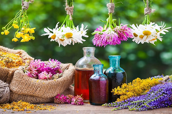 برگزاری همایش گیاهان دارویی در استان البرز